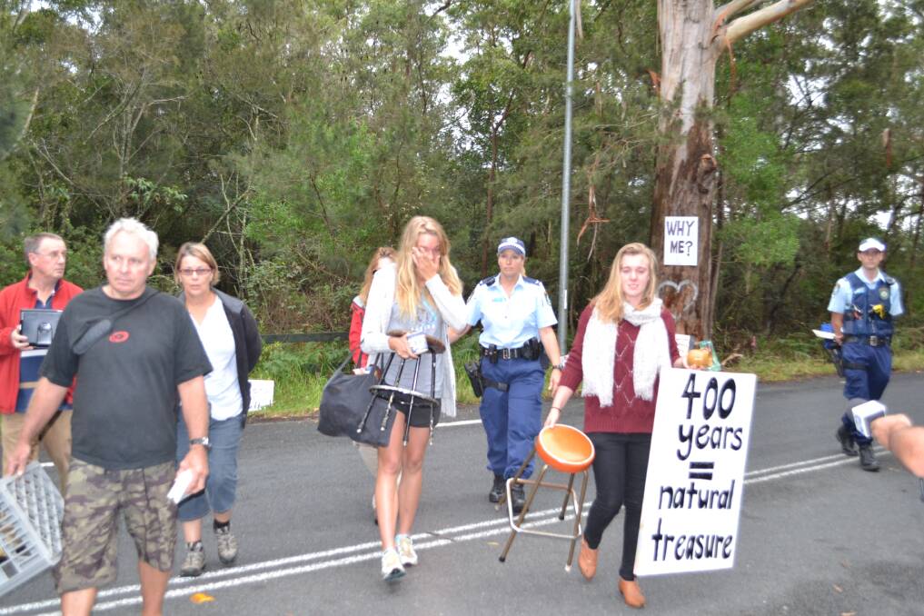 Protesters out in force as the Bum Tree is destroyed on Gerroa Road. Picture: ROBERT CRAWFORD
