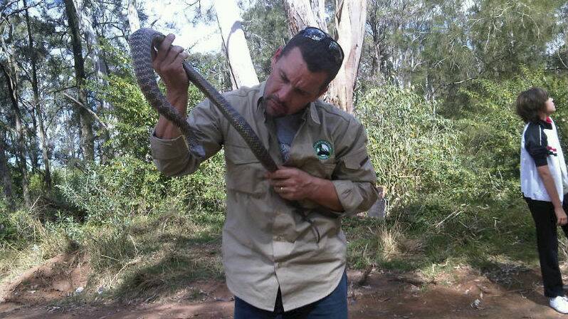 Illawarra snake catcher Sean Cade says now is the hatching time for baby snakes.