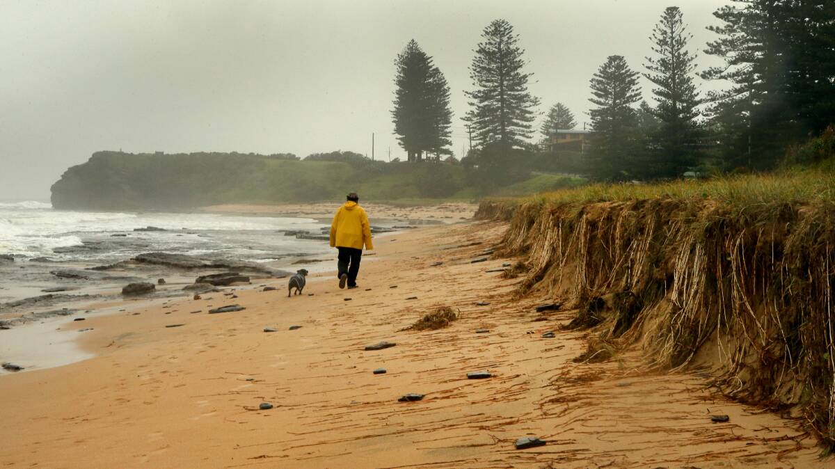 Little Austinmer Beach shows signs of coastal erosion after a storm last year. 