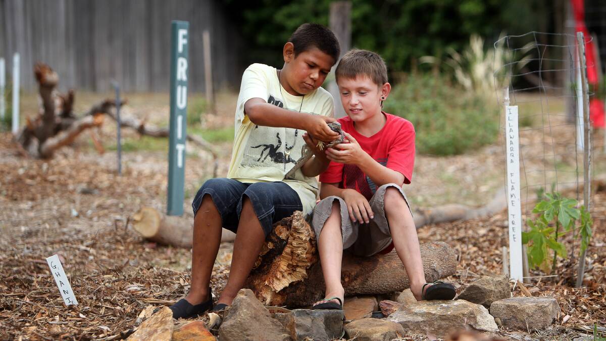 Nine-year-olds Jai Russell and Connor Hallum get to grips with a resident bush tucker bearded dragon. Picture: SYLVIA LIBER