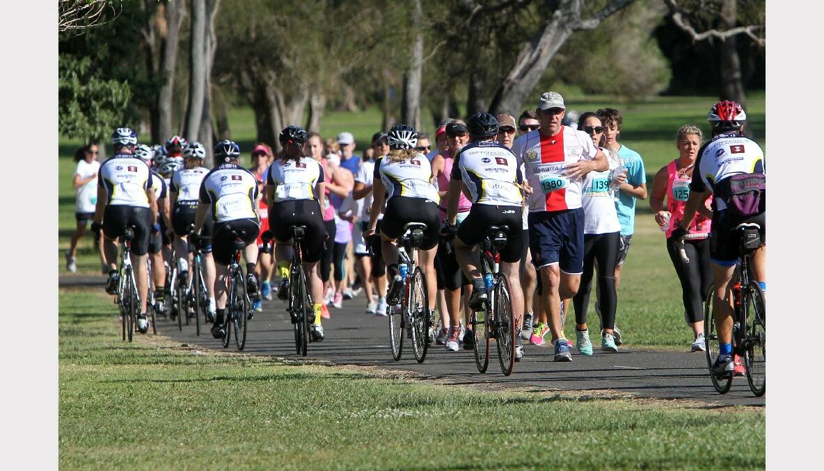 Cyclists and walkers create traffic at the 2013 Illawarra Memory Walk and Jog.