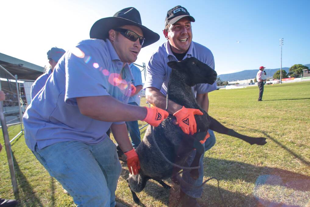 The rural challenge at the 157th Dapto Show. Picture: ADAM McLEAN