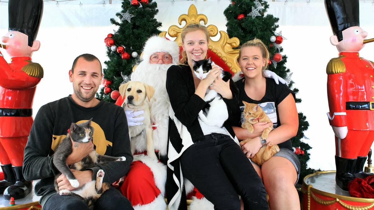 Wil Green with Molly the cat, Santa with Lola the dog, Kirilly Green with Jasper the cat and Tegan Green with Maggie the cat at Dapto Mall. Picture: ORLANDO CHIODO