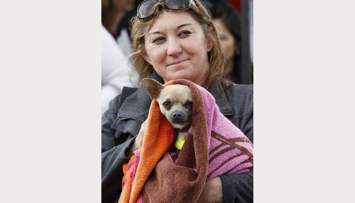 Julie Lacey and her dog Max at the 2013 i98FM Camp Quality Convoy for Kids. Picture: ANDY ZAKELI