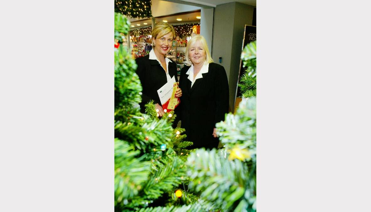 Fair Trading Minister Reba Meagher and Wollongong MP Noreen Hay usher in the festive season in David Jones with a warning against over extending credit.