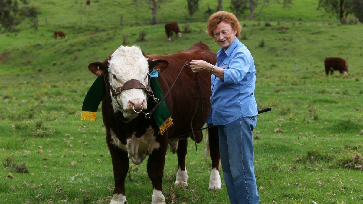 Jan McKenzie with her bull Eulowarra KS Stardom. Picture: GREG TOTMAN