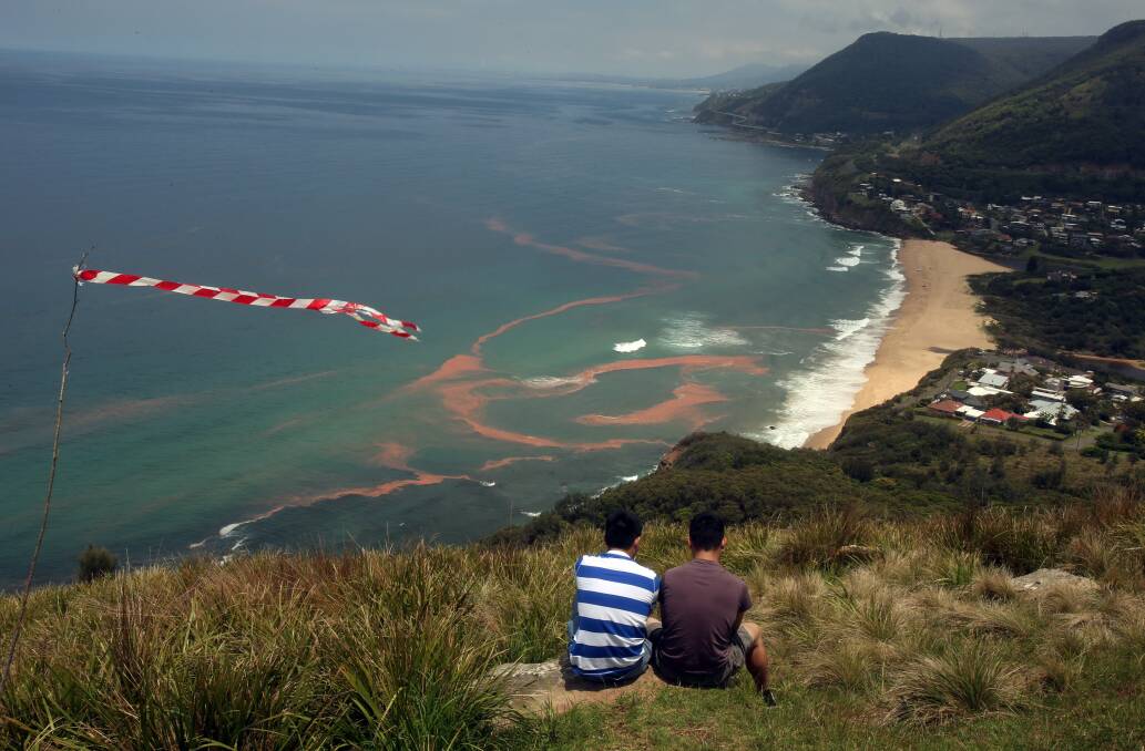 Red algal bloom at Stanwell Park Beach in November. Picture: ROBERT PEET