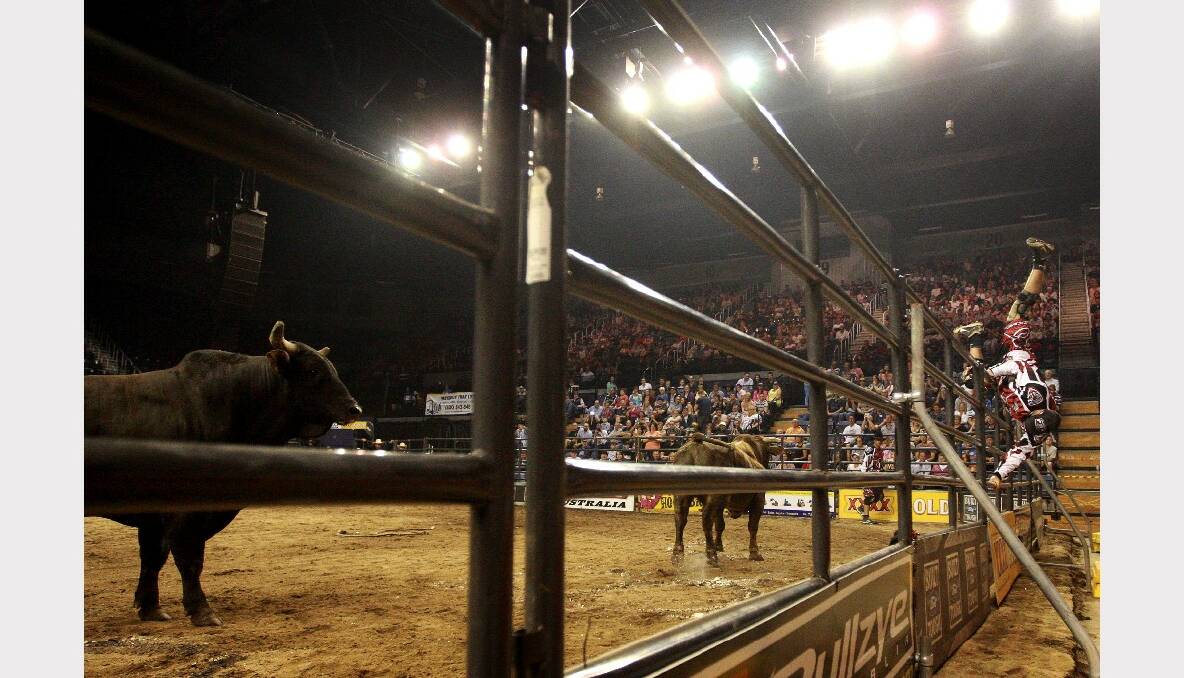 The Professional Bull Riding competition at the WEC. Picture: SYLVIA LIBER 