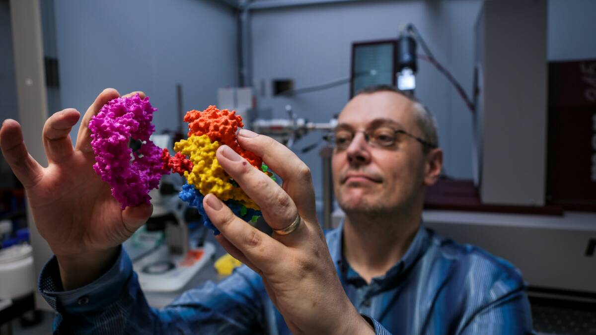 Associate Professor Aaron Oakley with a 3D model of a DNA clamp. Picture: ADAM McLEAN
