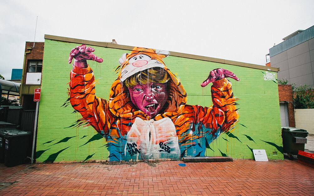 Artworks from the 2012 and 2013 Wonderwalls Festival. Picture: CHRIS PHILLIPS