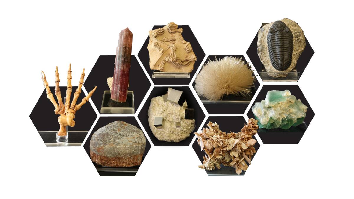 Some of the treasures in the UOW's rocks, minerals and fossils collection.
