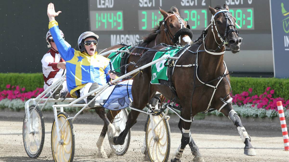 Gary Hall jnr drives Im Themightyquinn to victory in last year's InterDominion grand final.