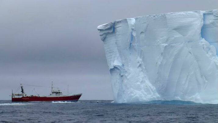 The Amaltal Explorer is dwarfed by a tabular iceberg during the Antarctic voyage. Photo: Virginia Andrews-Goff