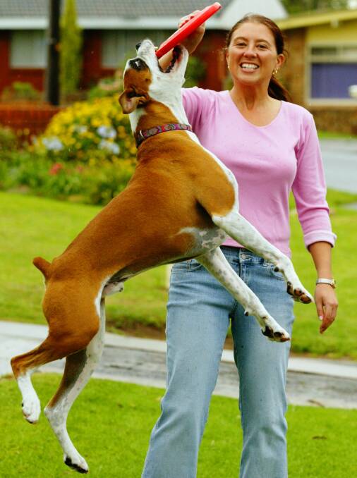 Cindy Chadburn with her frisbee chasing boxer.