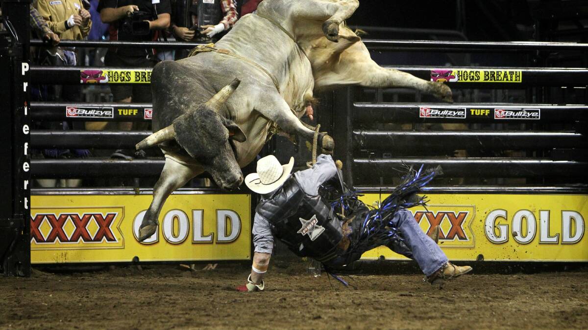 Professional bull rider Guy Ford at WIN Entertainment Centre on Saturday. Picture: SYLVIA LIBER
