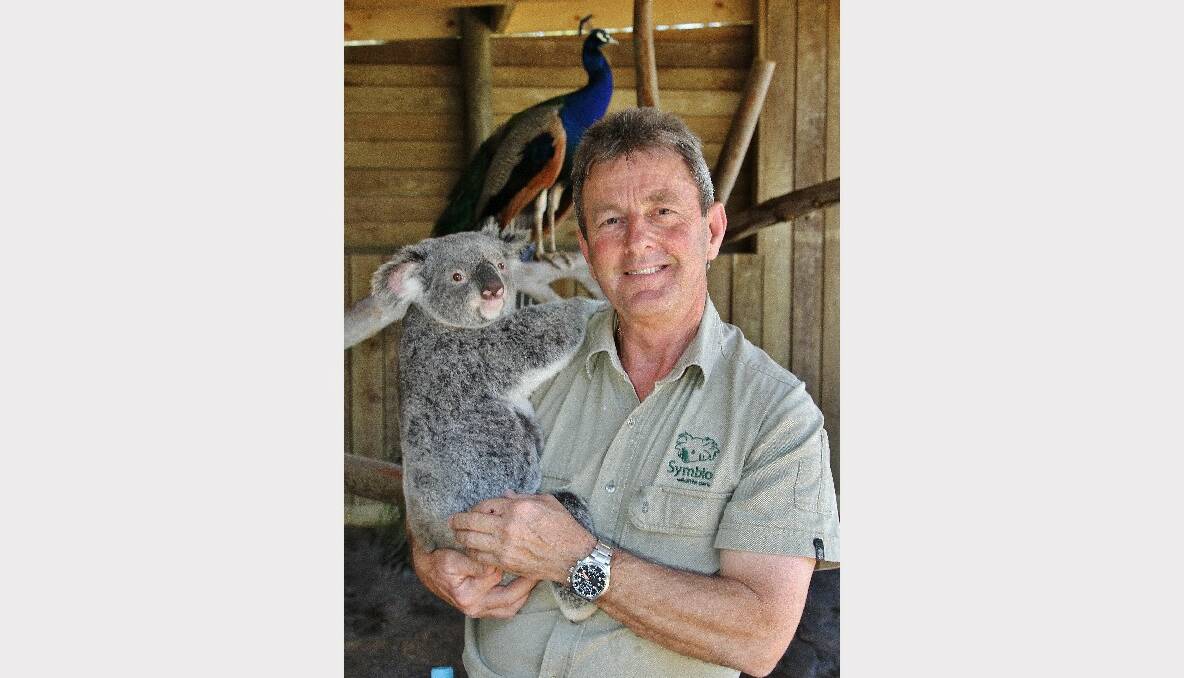 Managing director John Radnidge with Grace, the koala.