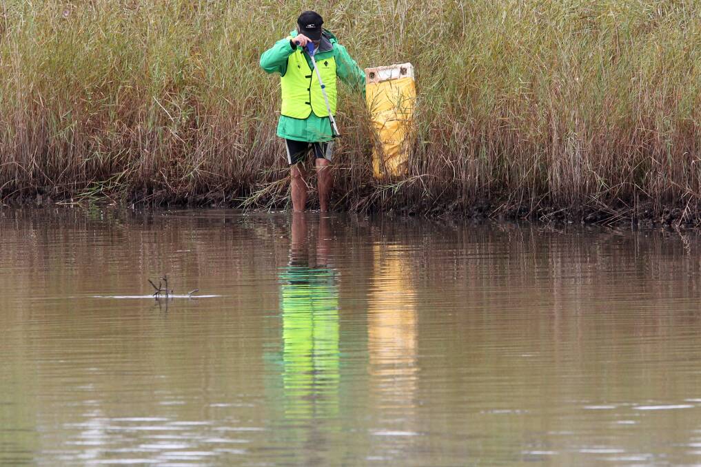 CleanUp Australia participants pick up rubbish at Puckeys Lagoon. Picture: GREG TOTMAN