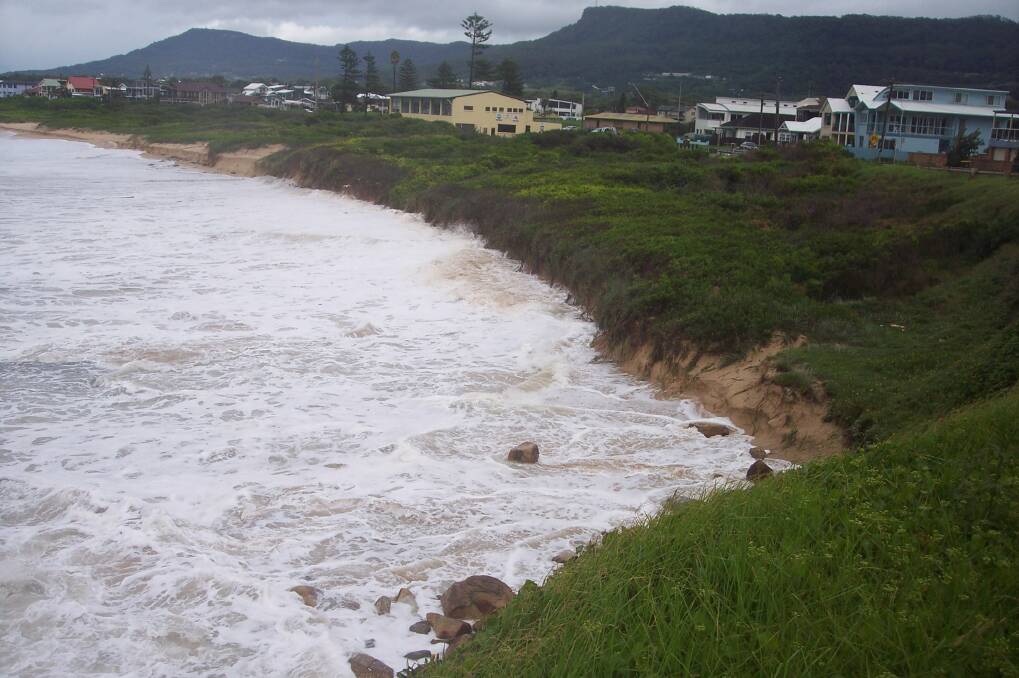 Overgrown: Vegetation at Woonona Beach in large swell prior to beach restoration work. Picture: Beach Care Illawarra.