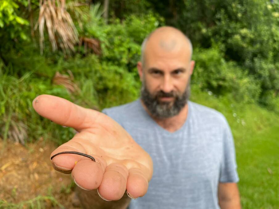 SLIMY CREATURE: Simon Cohen of Bulli finds a leech in his garden. Picture: Supplied