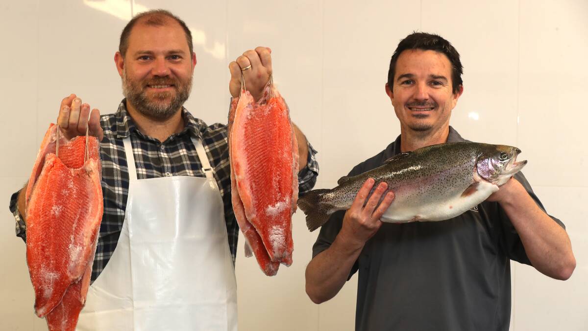 Chris Harag and Grant Logue with some of the trout farmed in the Victorian Alps. Picture by Robert Peet