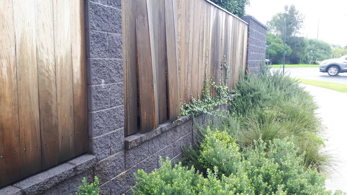 Swollen fence palings that had come loose on the property. Picture supplied