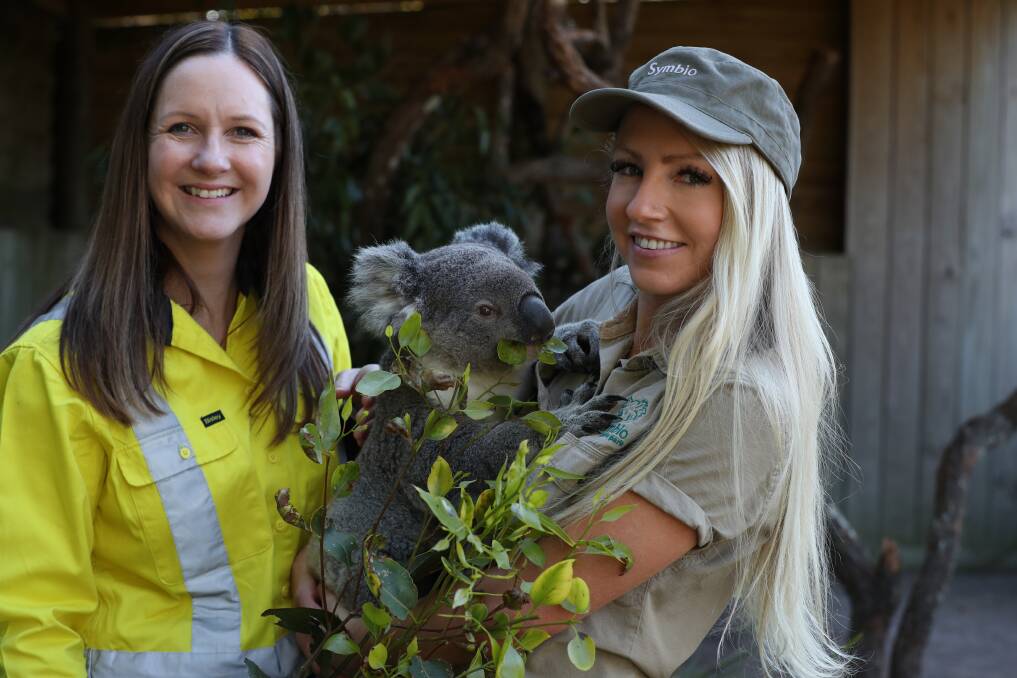 Happy koalas: Laurie the koala with Amy Blair, manufacturing finance manager at BlueScope and Beth Beckwith, team leader at Symbio Wildlife Park. Picture: Robert Peet.