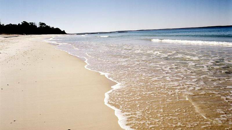 Woman in hospital after suspected shark attack at Hyams Beach