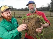 HEALTHY CLOD: Kiewa Catchment Landcare Group's Charles Daaboul and agroecologist David Hardwick say the government's tax cuts for farmers who sell carbon credits will encourage more to consider the practice. Picture: MARK JESSER