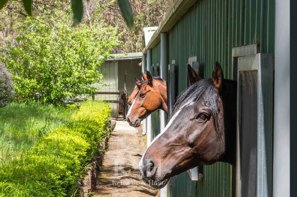 Outside the stable facilities at 196 Black Forest Drive, Macedon, Victoria. Picture: Supplied 