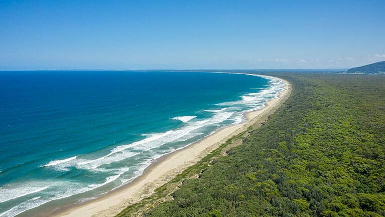 Beach setting: Seven Mile Beach National Park is a coastal paradise. Picture: NSW National Parks & Wildlife Service/John Spencer