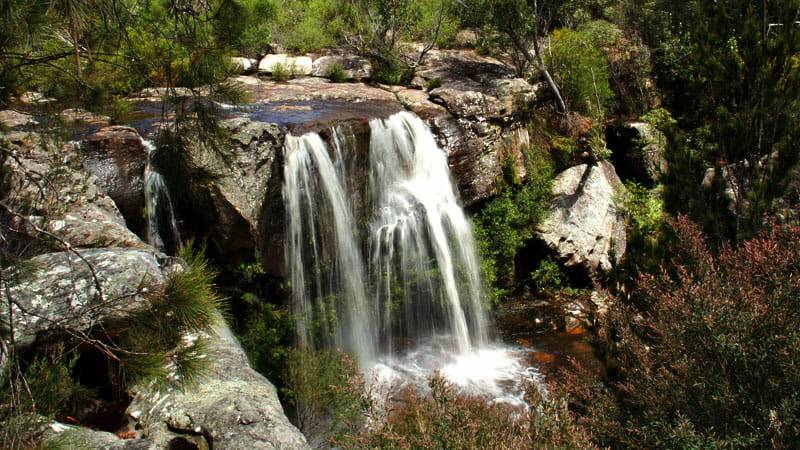 Great for kids: Maddens Falls in Dharawal National Park is easily accessible. Picture: National Parks & Wildlife Service/John Yurasek