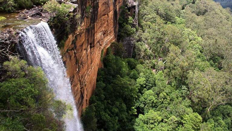 Free falling: Fitzroy Falls is considered one of the best waterfalls in the country. Picture: National Parks & Wildlife Service/John Yurasek
