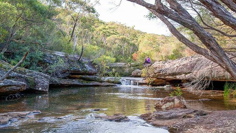 Walk to nature: Kingfisher Pool picnic area is the perfect place to relax and take a dip. Picture: NSW National Parks & Wildlife Service/Nick Cubbin
