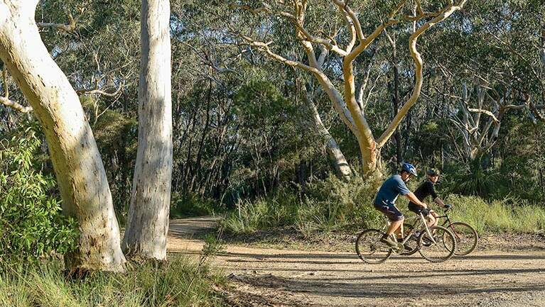 Family friendly: Bundanoon cycling route is located in Morton National Park. Picture: NSW National Parks and Wildlife Service