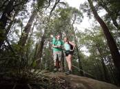 Great pastime: Bushwalking is not only a great from of exercise but allows you to get back to nature. Picture: Brad Liber