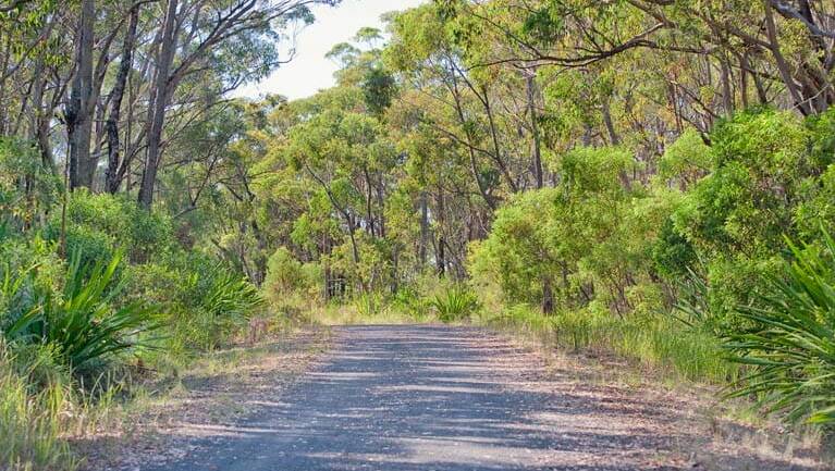 Medium-grade trail: The 10B cycling trail is in Dharawal National Park. Picture: NSW National Parks and Wildlife Service/Nick Cubbin