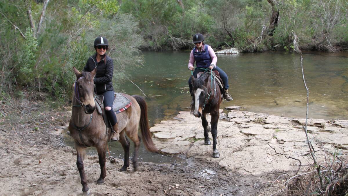 Giddy up: You can take a trail ride at Darkes Forest Riding Ranch. Picture: Greg Ellis.