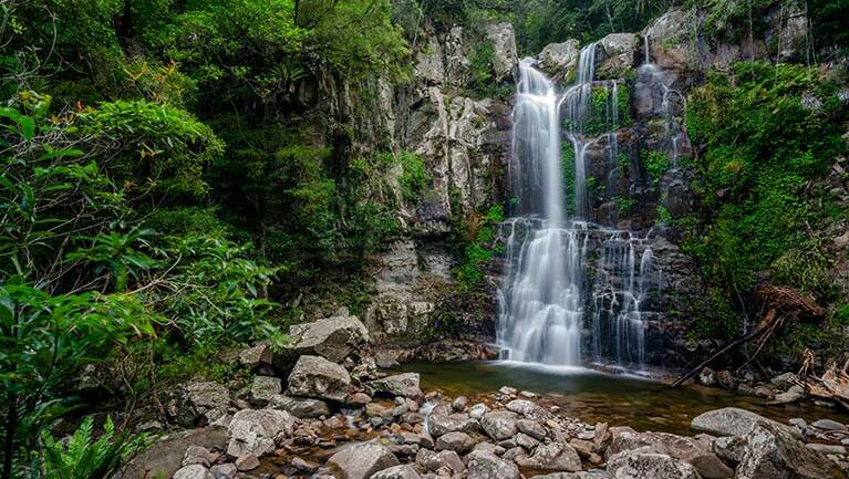 Child-friendly spot: Minnamurra Falls picnic area is a great place to start your rainforest adventure. Picture: National Parks & Wildlife Service/John Spencer 