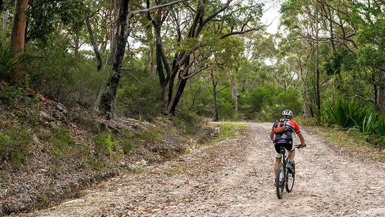Easy rider: Cawleys Road trail is in Garawarra State Conservation Area. Picture: Picture: NSW National Parks and Wildlife Service/John Spencer 