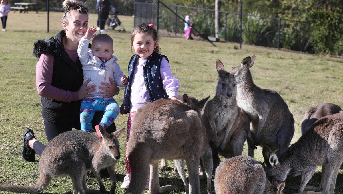Animal kingdom: Children love animals and Symbio Wildlife Park has plenty. Picture: Robert Peet