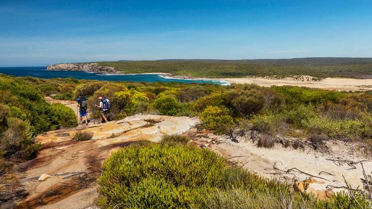 Out in nature: Bushwalking is a popular pastime in the Royal National Park. Picture: Royal National Park 