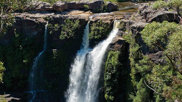 Large drop: Carrington Falls in Budderoo National Park. Picture: National Parks & Wildlife Service/Michael Van Ewijk 