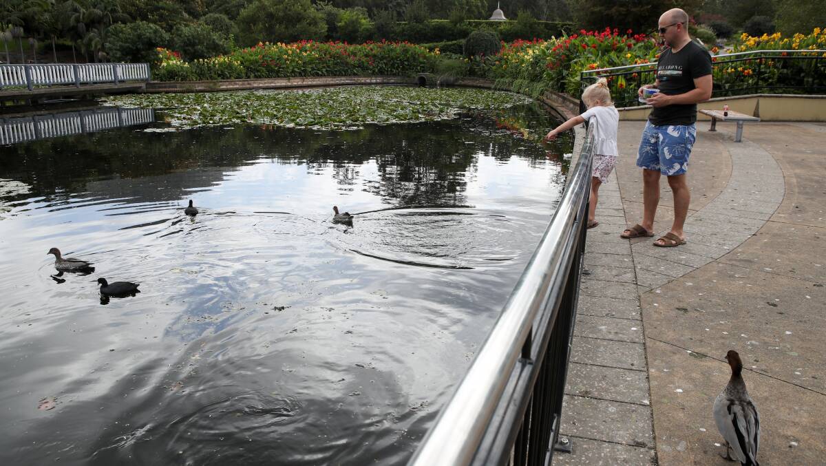 Pretty as a picture: Wollongong Botanic Garden is a great place to spend a few hours or the whole day, and best of all it is free. Picture: Adam McLean.