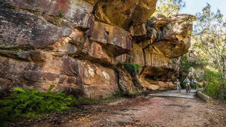 Easy rider: Lady Carrington Drive bike path is a top pick of the NSW National Parks and Wildlife Service. Picture: NSW National Parks and Wildlife Service/David Finnegan