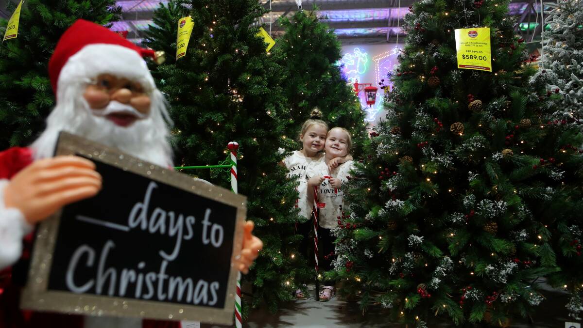 Christmas spirit: There is no better way to mark the start of the festive season than at one of the many yuletide events planned for the Illawarra. Picture: Sylvia Liber. 