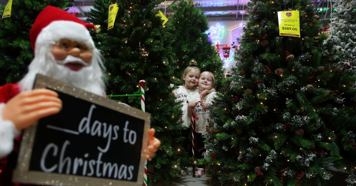 6 Illawarra events to make you feel Christmassy this summer