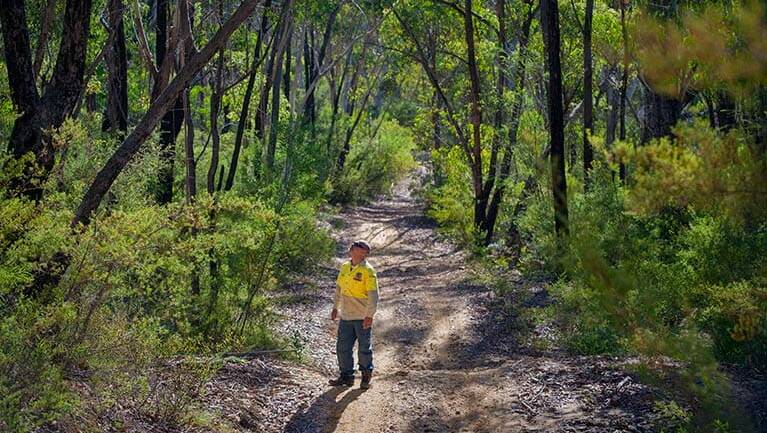 Take a hike: Bushwalking is a great pastime and best of all, it is almost always free. 