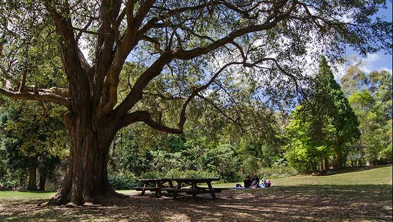 Shady spot: Byarong Park picnic area in Illawarra Escarpment State Conservation Area. Picture: NSW National Parks & Wildlife Service/John Spencer.