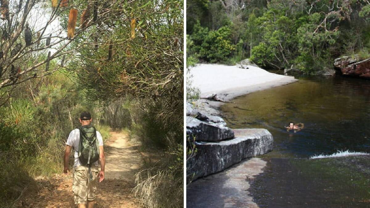 Nature's calling: Walk through the Royal National Park and take a dip in one of the natural pools, such as Deer Pool. Pictures: National Parks & Wildlife Service/Natasha Webb (left) and Andy Richards (right)