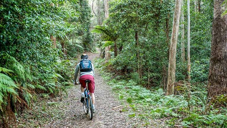 Adventurous track: Fitzroy Falls to Kangaroo Valley cycling route is an epic eight-hour journey. Picture: NSW National Parks and Wildlife Service/Michael Van Ewijk